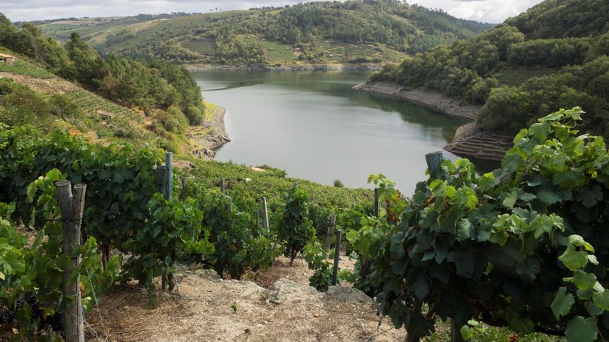 El Gobierno abre expediente a Iberdrola y Naturgy por el vaciado de cuatro embalses en Galicia