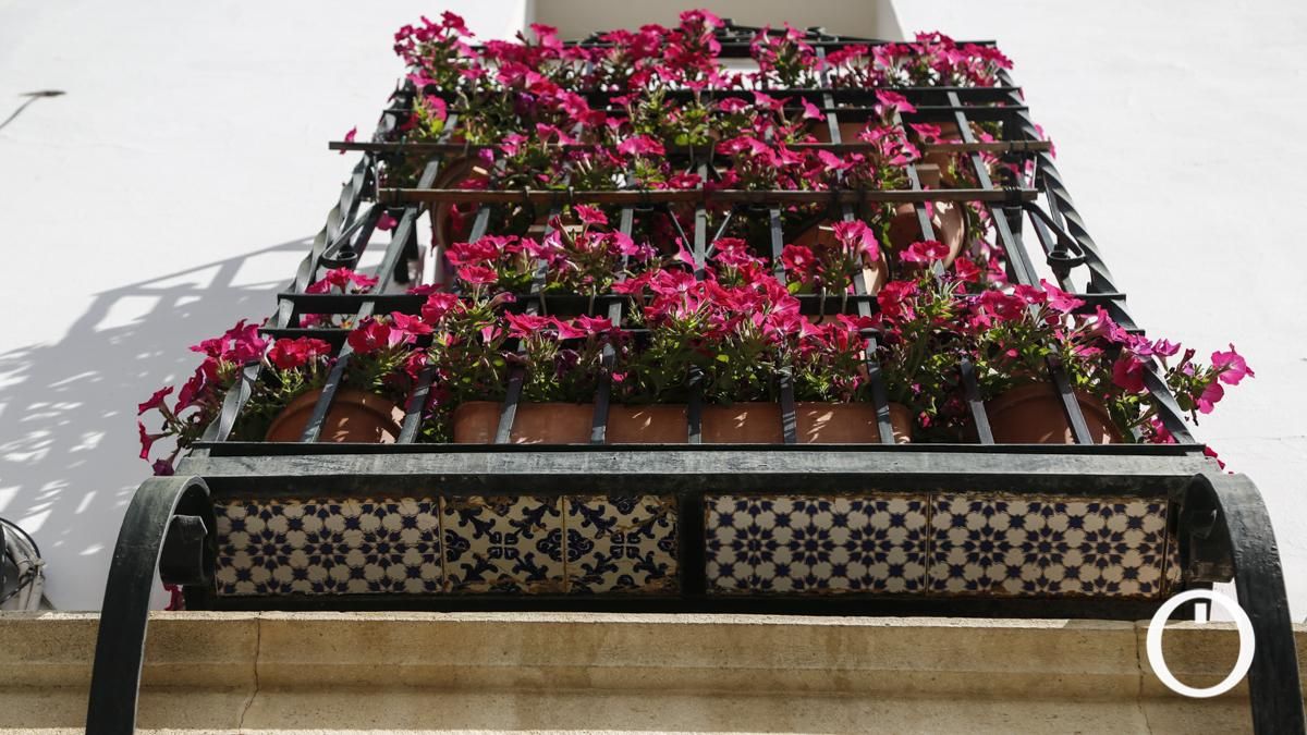Rejas y Balcones en la Plaza Conde de Priego, 3