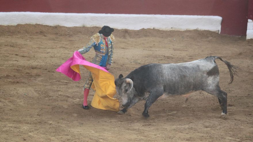 PP y Vox intentan revivir a la tauromaquia regándola con dinero público