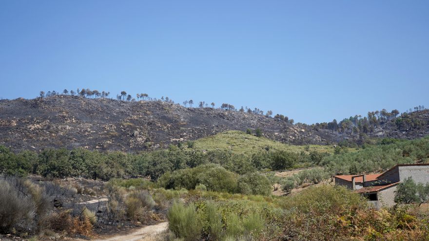 El Infoex trabaja en acotar el incendio de Gata pero preocupa que pase a Salamanca