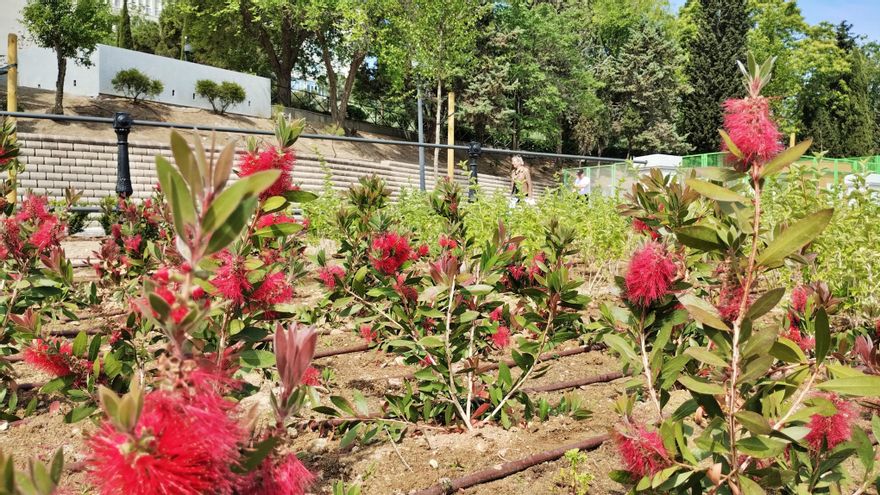 Arbustos en el parque del Canal