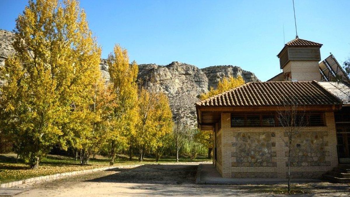 El recorte del 14% en educación ambiental del PP de Zaragoza moviliza a los voluntarios del Galacho de Juslibol