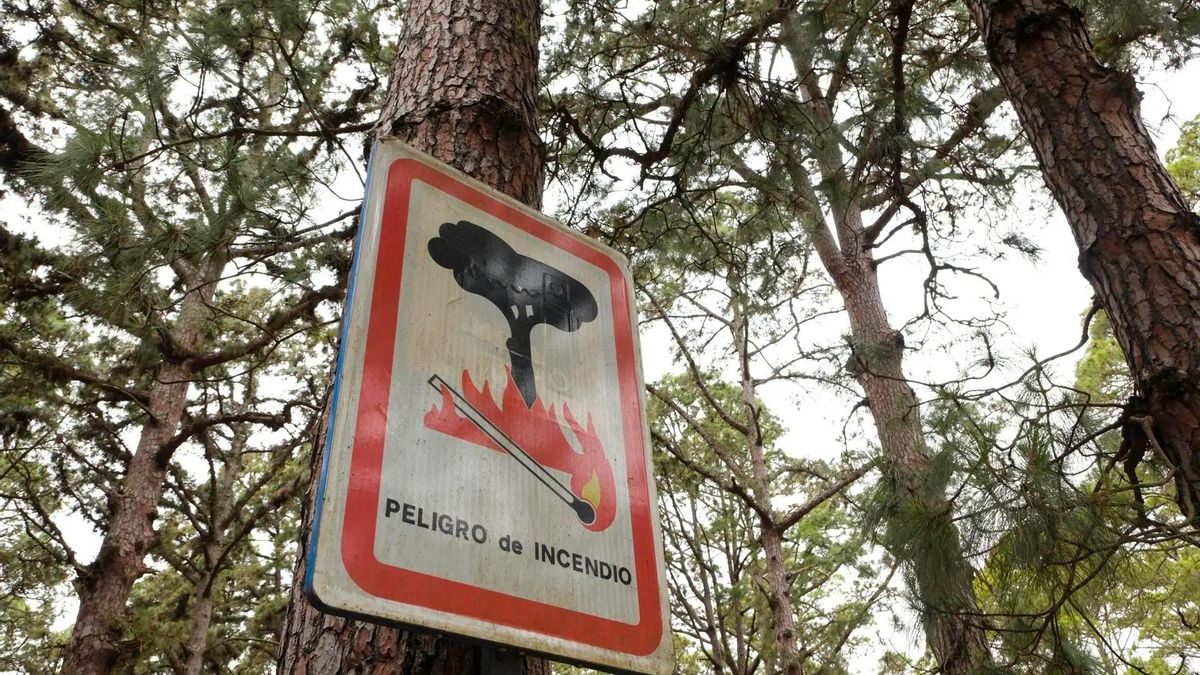 Canarias activa la alerta por riesgo de incendios forestales en Gran Canaria y Tenerife