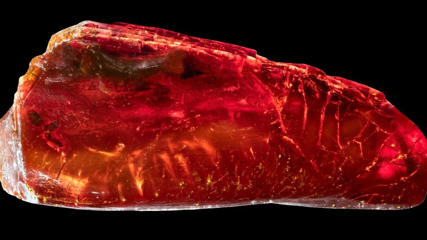 Hallan una hormiga fosilizada de 40 millones de años en una piedra de ámbar del poeta Goethe