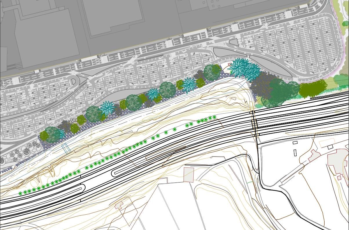 Plano del lagartario de Tamaraceite.