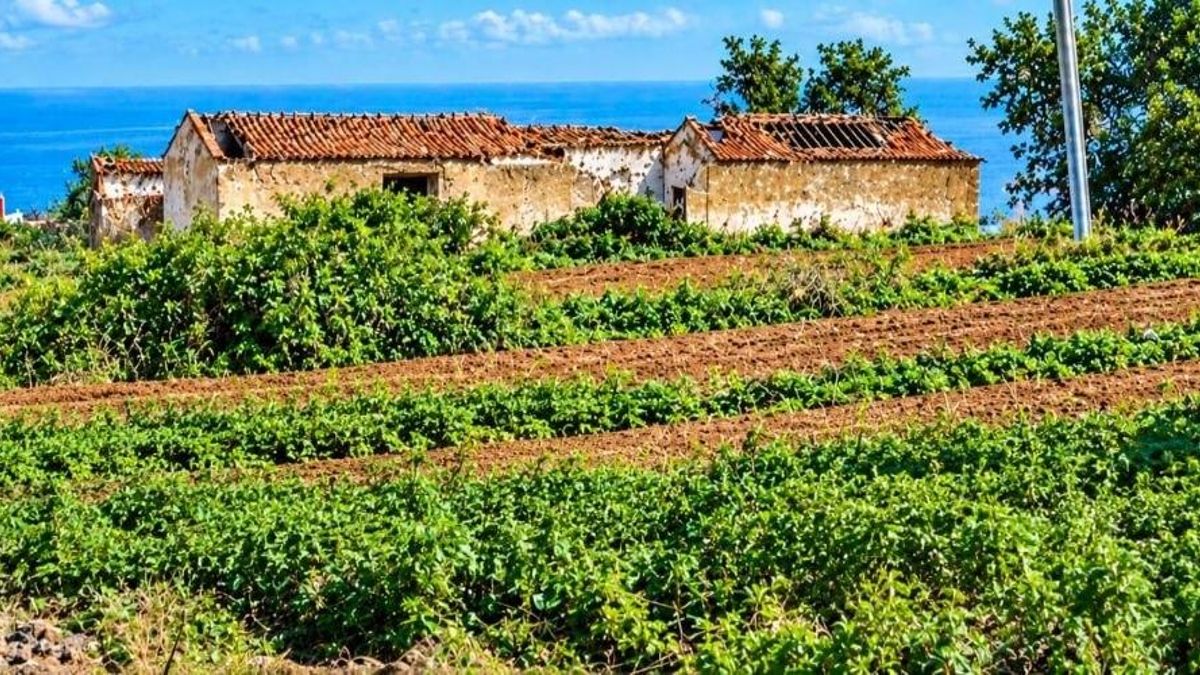 La Laguna derriba una casa histórica y Unidas se puede reclama el expediente que lo permitió