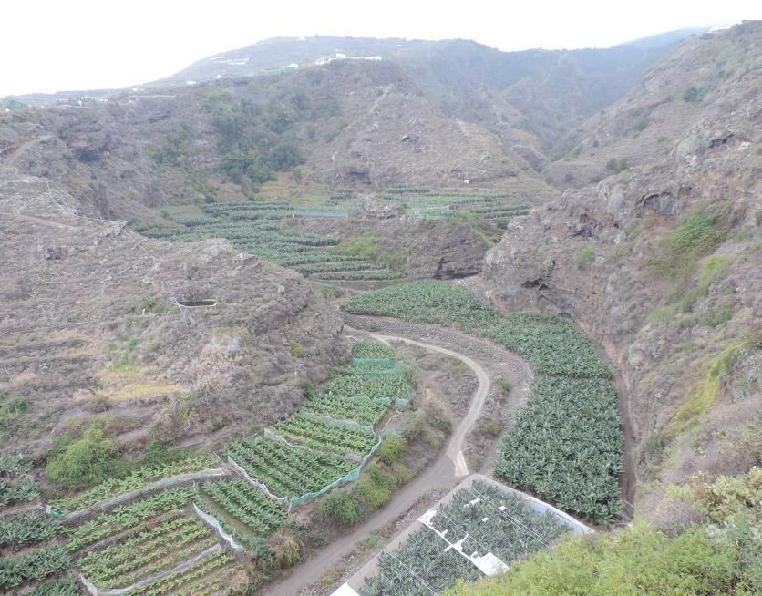 Confluencia de los barrancos de La Galga y La Puente. (Foto: Jorge Pais Pais)
