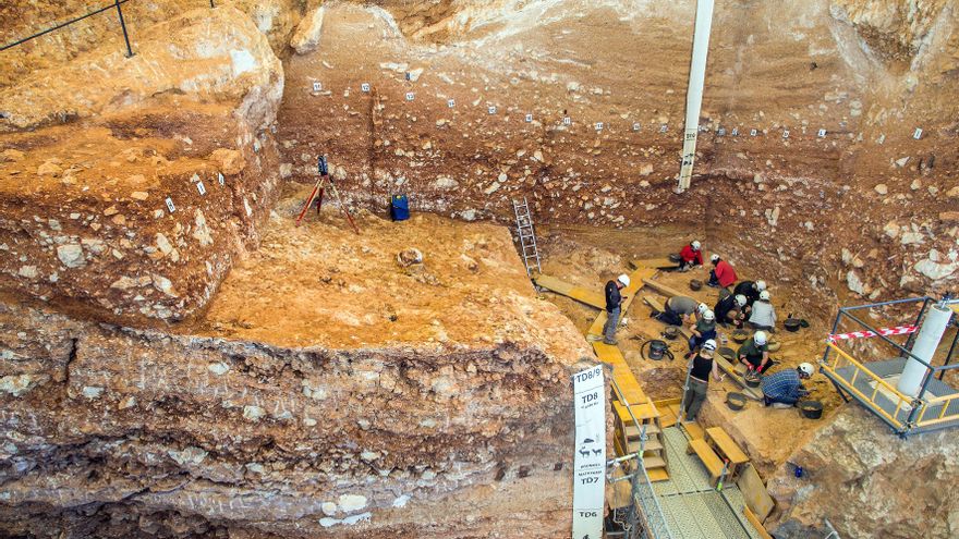 Las excavaciones de Atapuerca buscan el campamento de Homo antecessor que aportará luz a las primeras poblaciones europeas