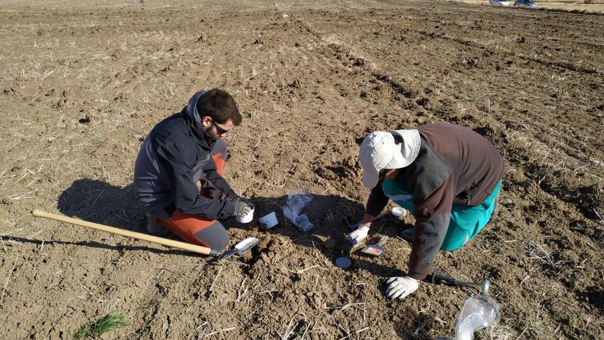 El proyecto ECOSDIR, en el que ha participado Agrocultivate, y está financiado al 80% por FEADER y el Gobierno de Aragón a través de los Grupos de Cooperación de agentes del sector agrario, puede beneficiar a 903.800 ha. de cultivos herbáceos extensivos