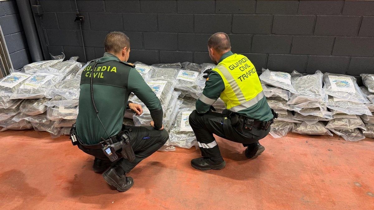 Detenido un camionero de Córdoba tras intervenirle 100 kilos de marihuana oculta en la mercancía