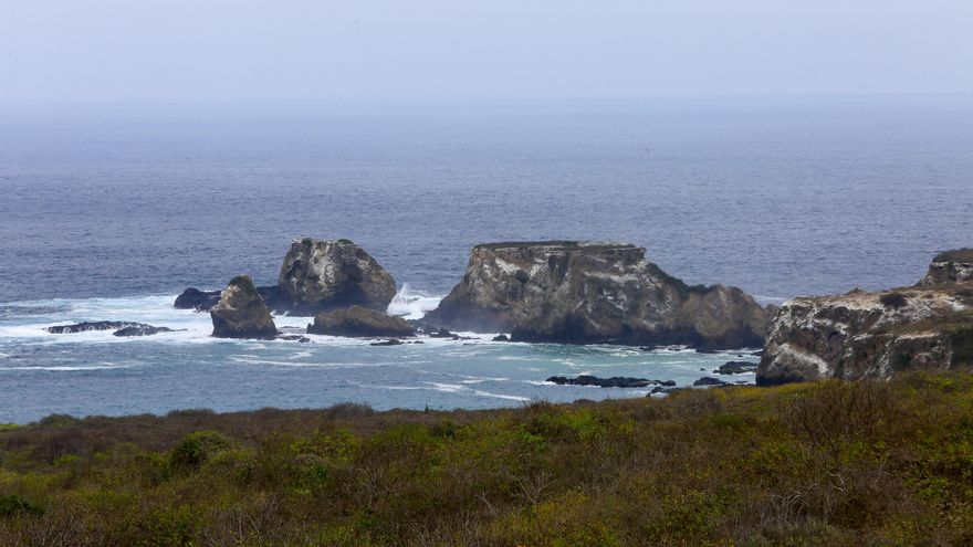 El paraíso natural del Pacífico donde puedes alojarte gratis a cambio de ayudar a proteger su fauna