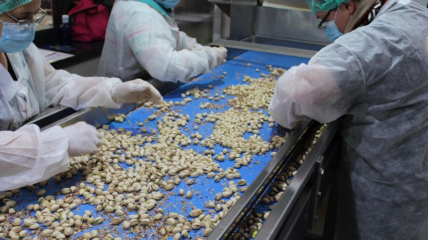 Tres procesadoras de Castilla-La Mancha, líder del sector, crean la Asociación de Industrias del Pistacho Español