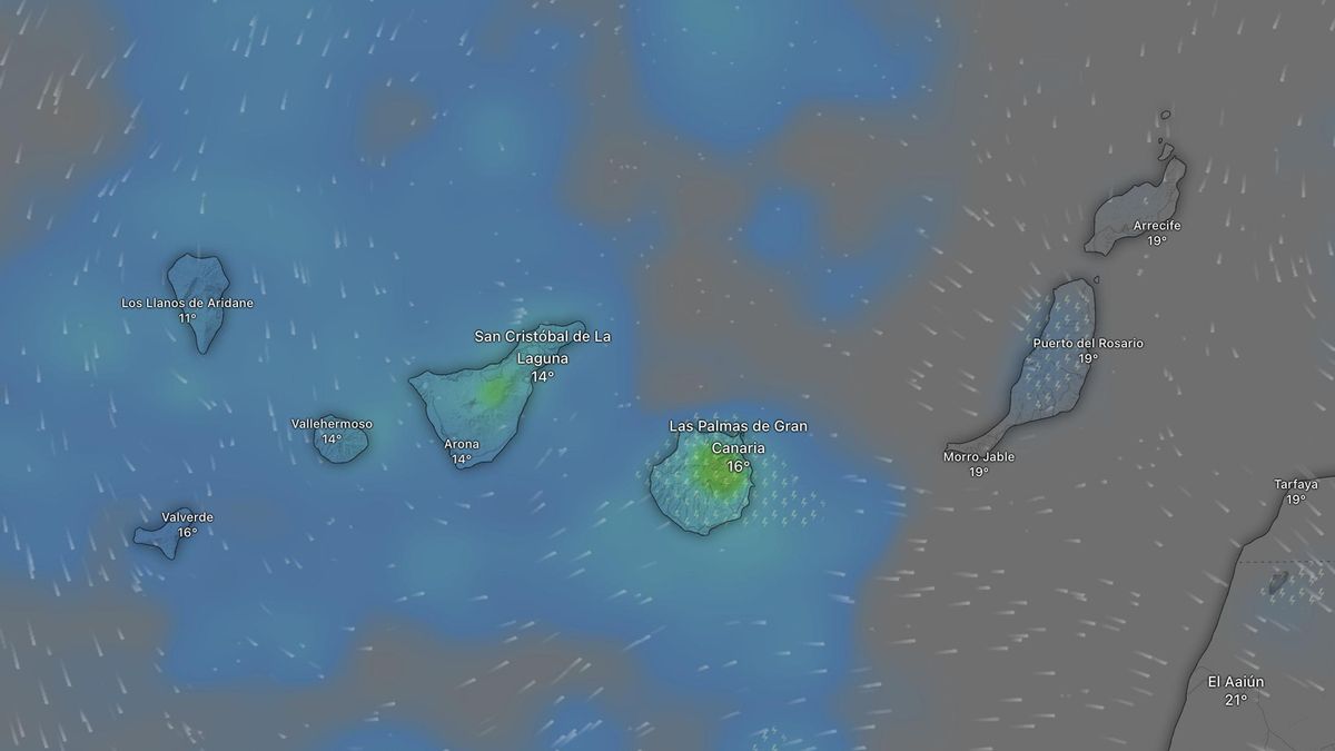 Lluvia prevista en Canarias para este lunes. Los colores verdosos indican mayor acumulación de agua.