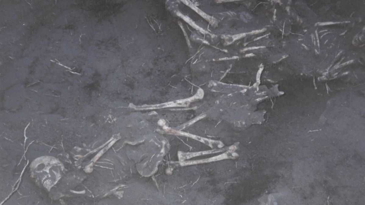 Treinta años después salen a la luz los informes forenses inéditos de la primera exhumación judicial del franquismo