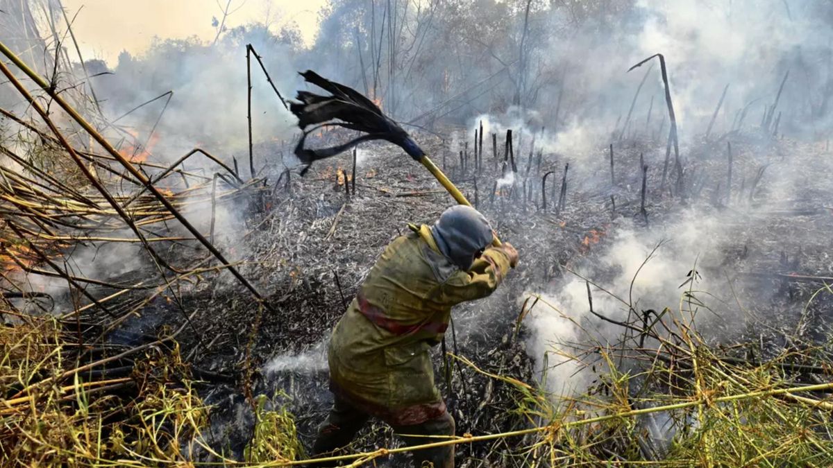 Día Mundial de la Prevención de Incendios Forestales: ¿por qué se celebra cada 18 de agosto?