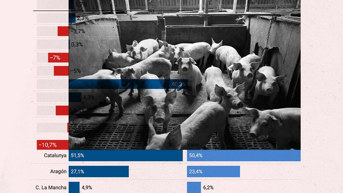 Radiografía del sector porcino: un negocio volcado en la exportación que vive pendiente de una peste casi olvidada