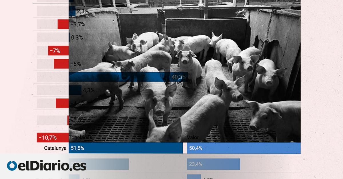 Radiografía del sector porcino: un negocio volcado en la exportación que vive pendiente de una peste casi olvidada