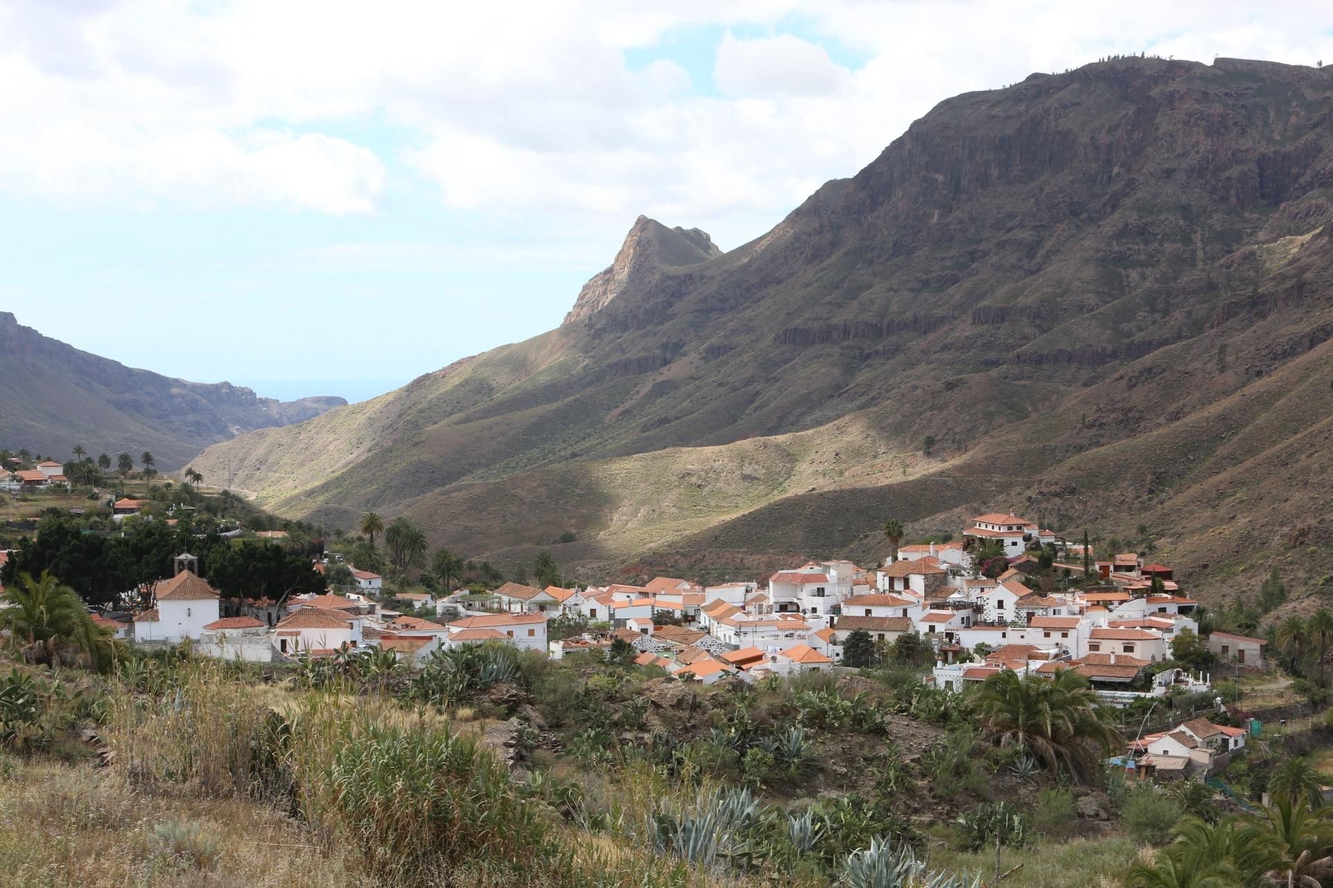 La primavera lleva a Arteara. (Alejandro Ramos).