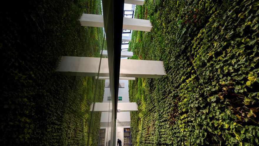 De nave para almacenar tabaco, a jardín vertical de récord
