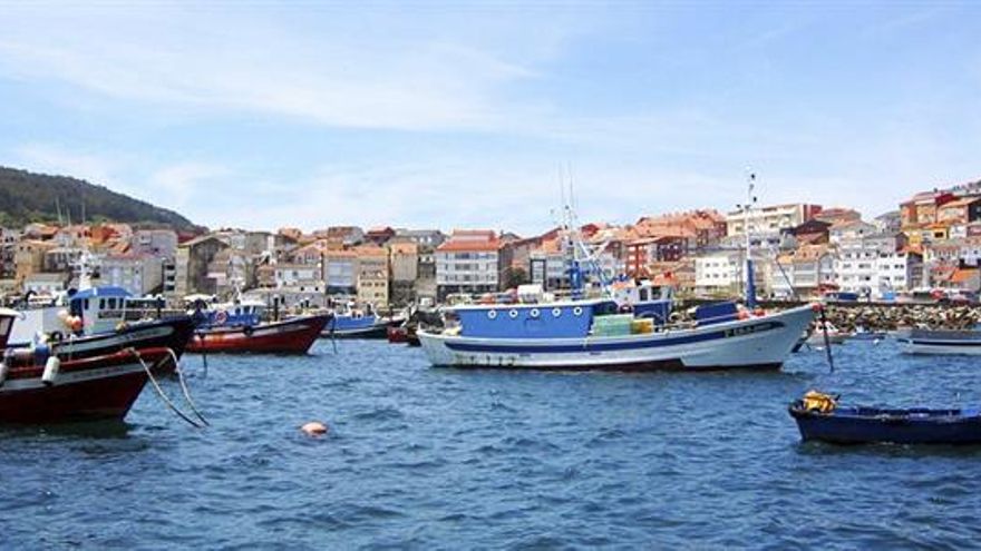 Buceo con atunes, gastronomía o marisqueo: la pesca abre la puerta al turismo