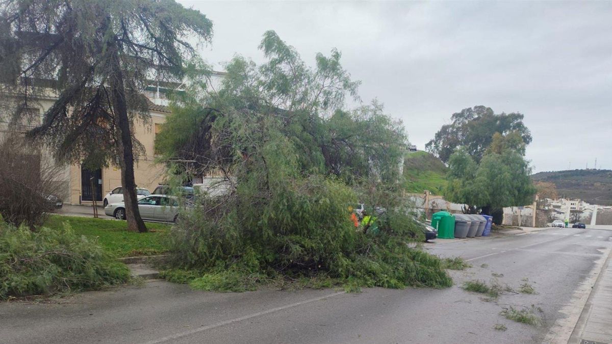 Puente Genil registra "un fenómeno no previsible" que genera daños de consideración