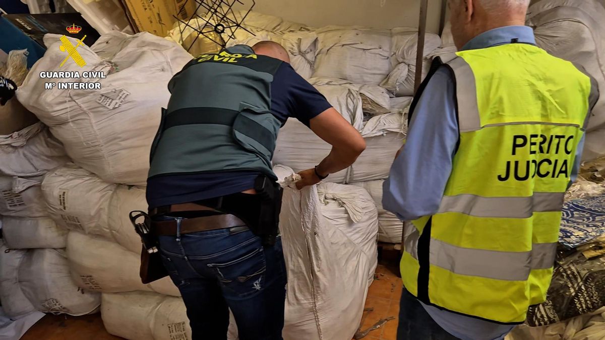 La Guardia Civil interviene en La Palma y Tenerife 70.000 falsificaciones de ropa valoradas en casi 7 millones