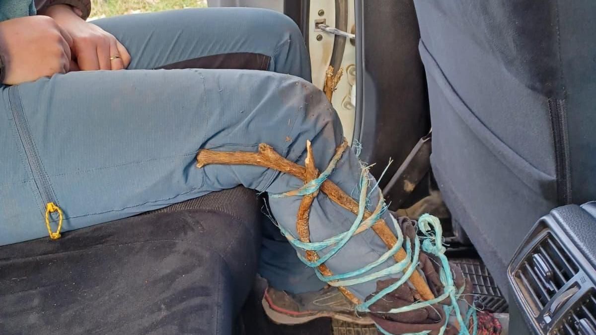 Rescatan a una senderista herida tras caer asustada por un jabalí: ha sido trasladada al hospital San Pedro de Logroño