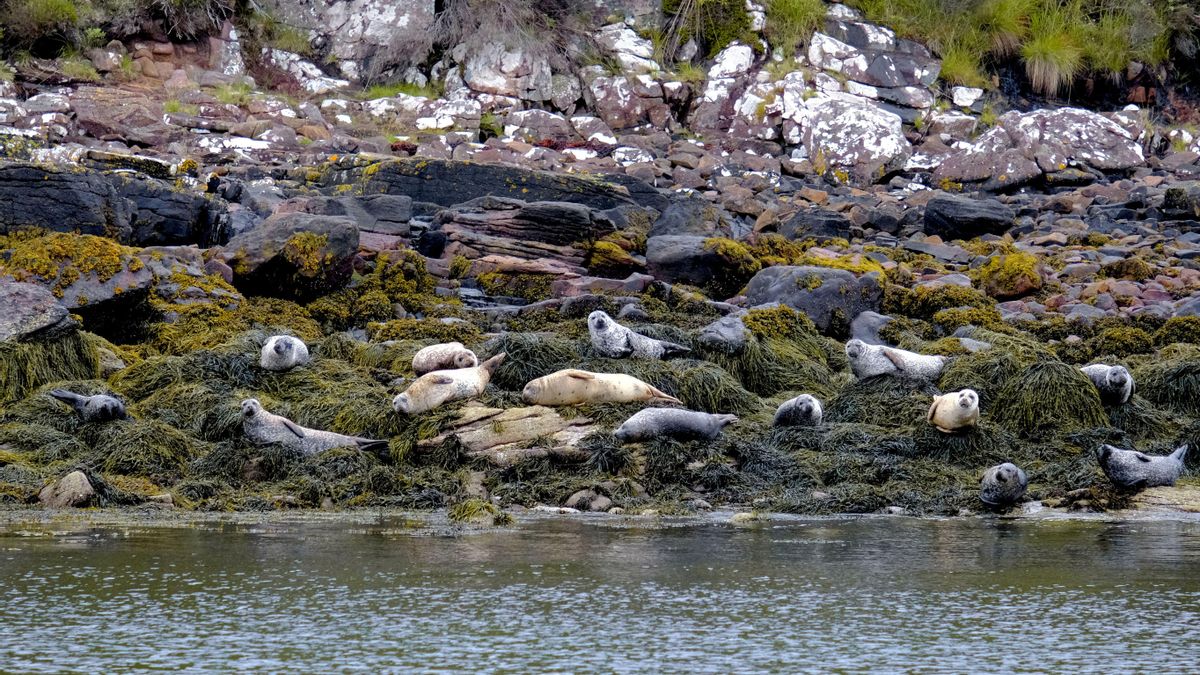 Algunos residentes de Ullapool, en Escocia.