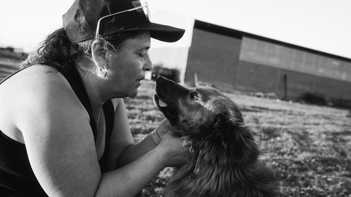 Cerezales del Condado celebra el fin de semana del 17 y 18 de mayo su octava Feria Carea