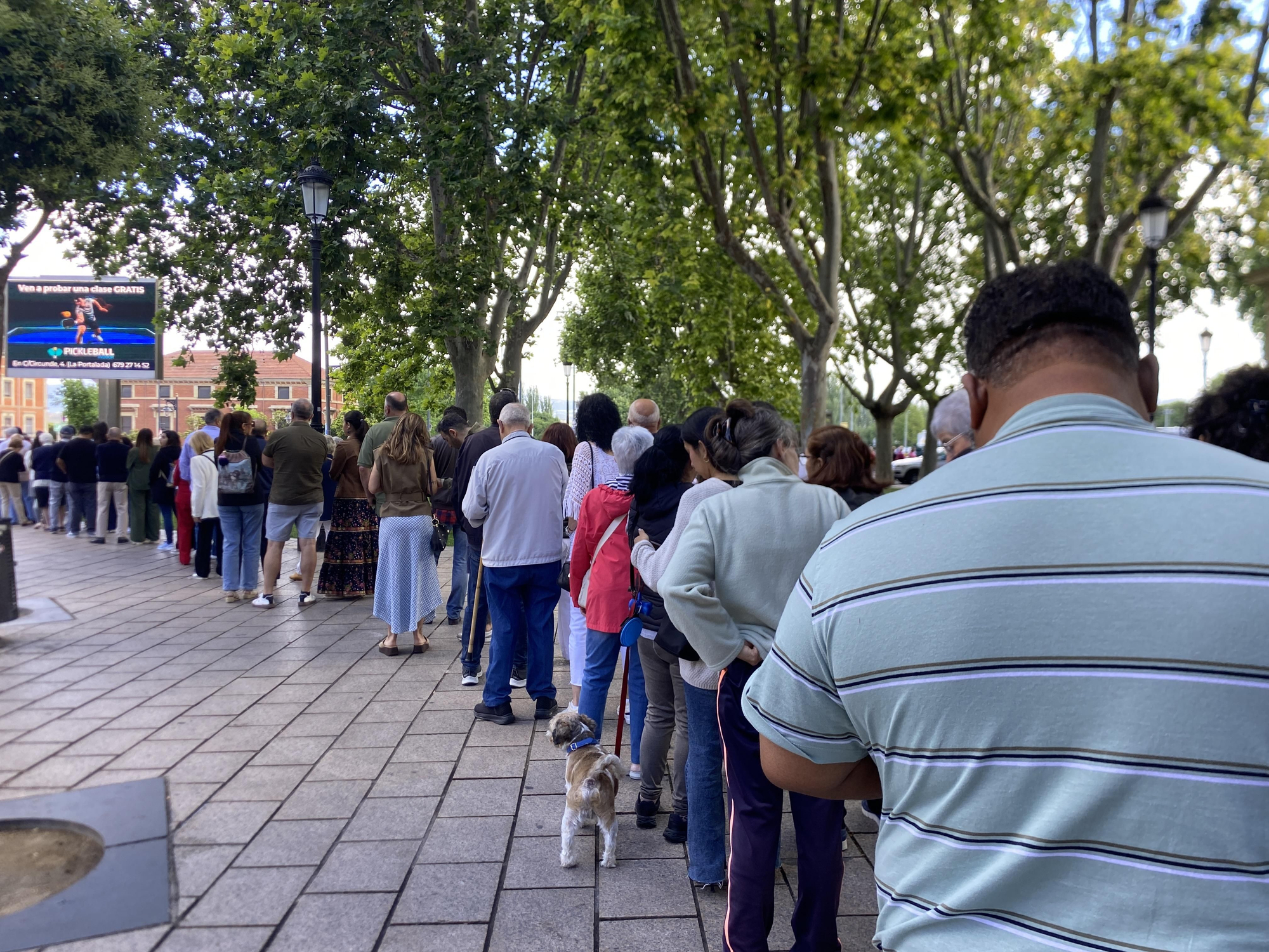 Reparto del pan, el pez y el vino por San Bernabé en Logroño