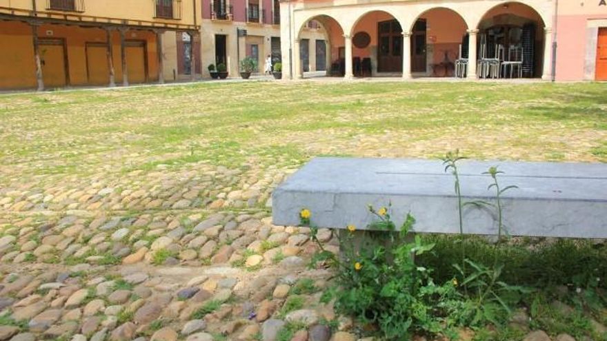 Jamás en época reciente se vieron estampas como ésta de hace una semana en la tradicional Plaza del Grano de León. / C.J. Domínguez