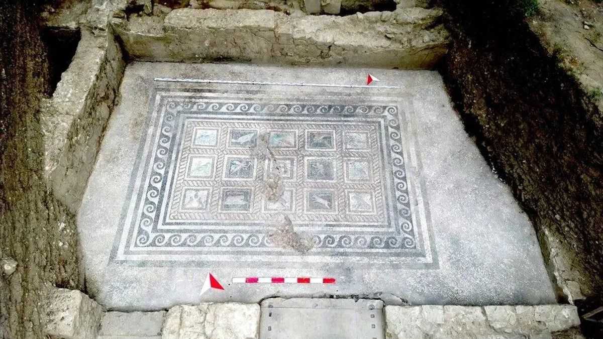 Descubren en Turquía un mosaico romano que conserva los nombres de un gato y un perro