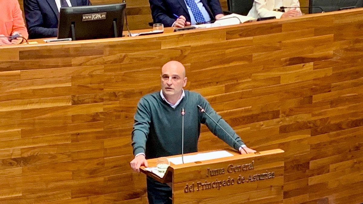 El diputado socialista René Suárez Fernández, durante una intervención en la Junta General del Principado.