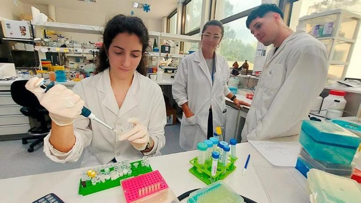 Dengue: científicos argentinos diseñan un test rápido y económico para su detección temprana