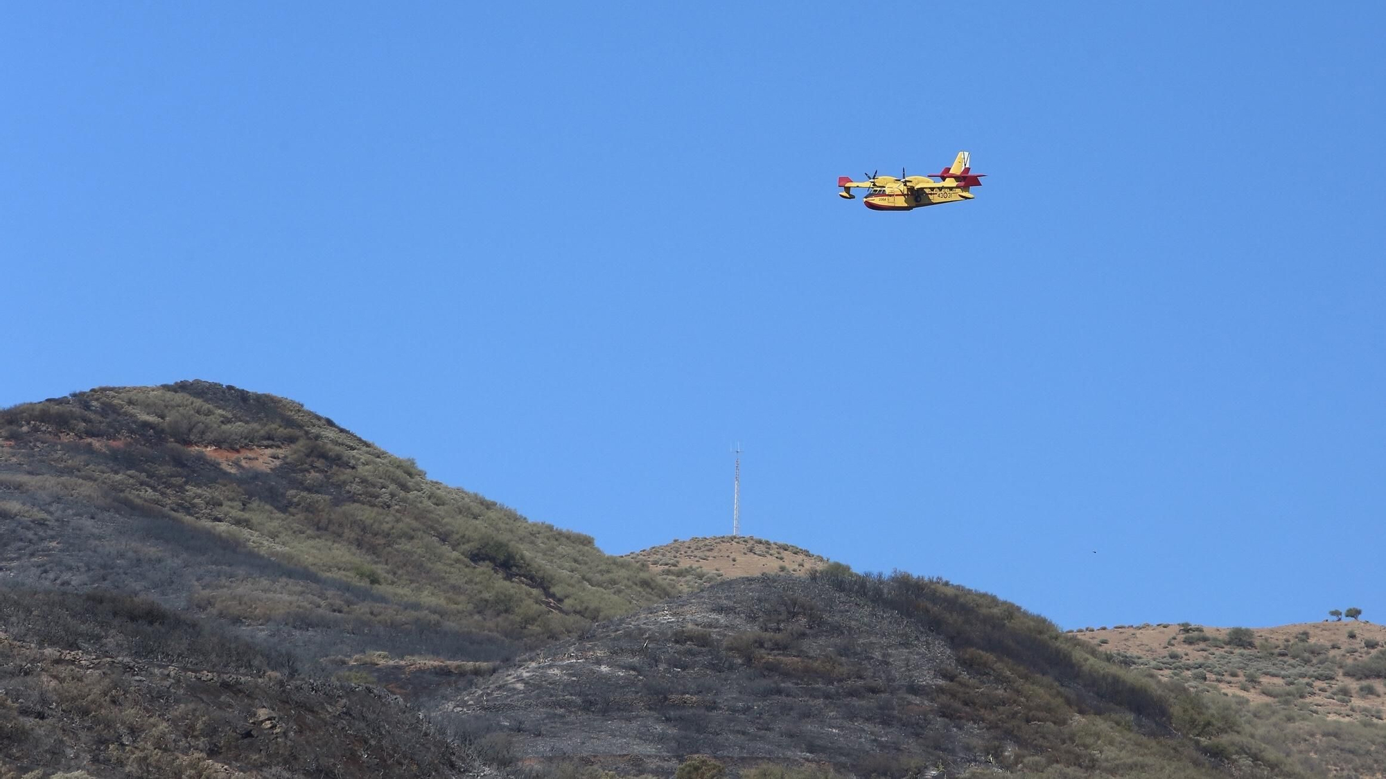 El hidroavión actúa sobre el incendio de Telde.