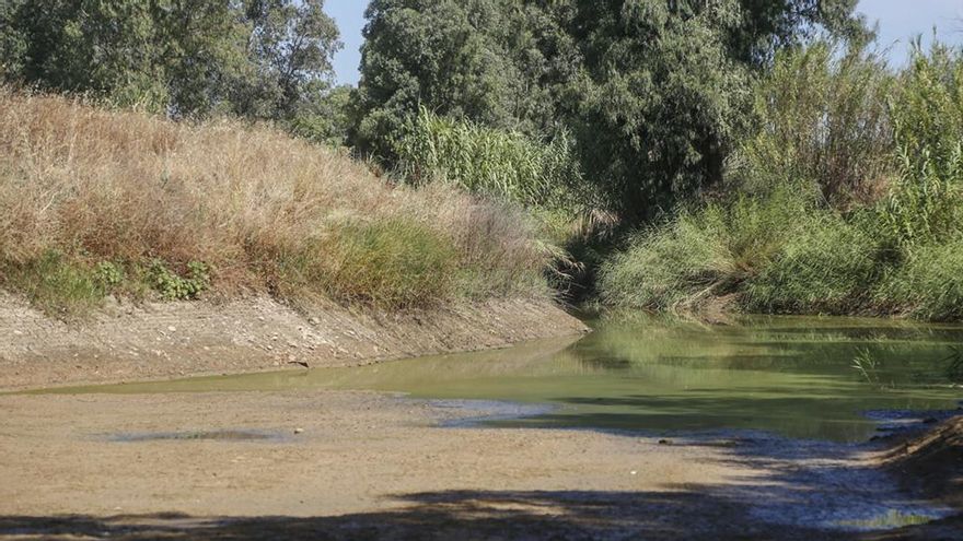 El arroyo Culebras de Fuente Palmera