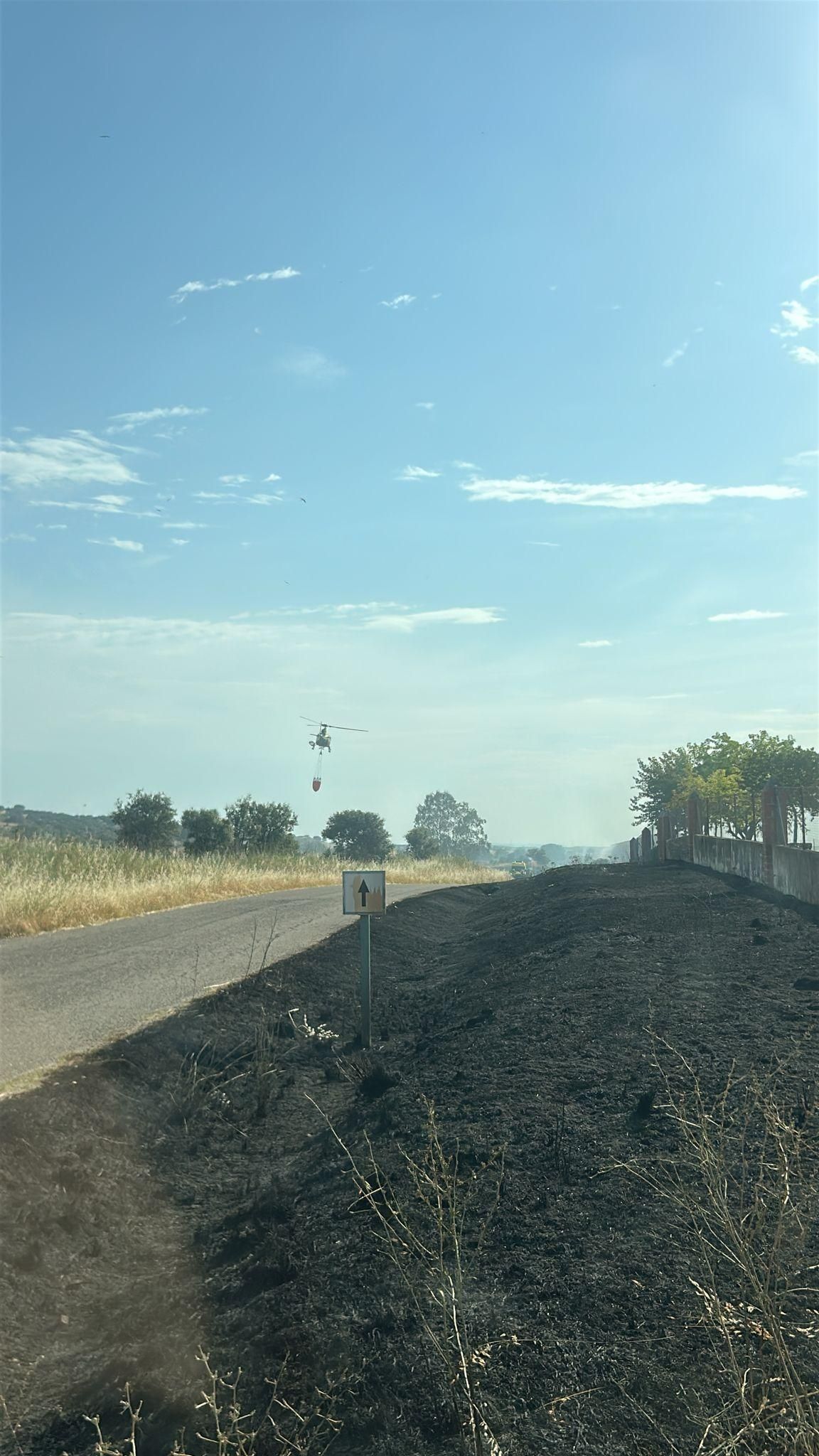 Parte del entorno calcinado en Lagartera (Toledo) debido al incendio forestal declarado este 17 de junio