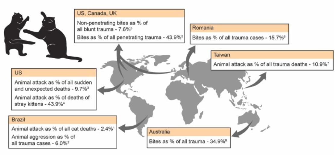 Las principales riesgos son los accidentes de tráfico, las caídas y los ataques de otros animales