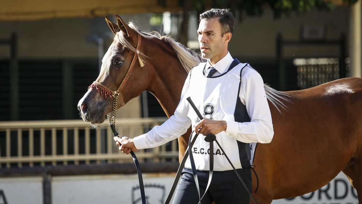 Campeonato Nacional de Caballos Árabes