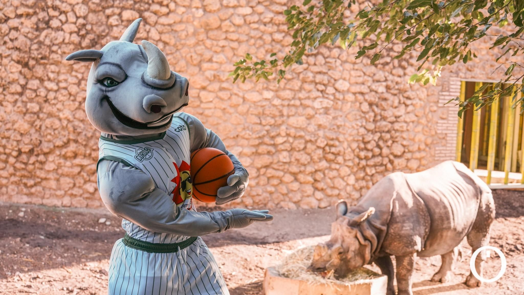 Presentación de la mascota del Coto Córdoba CB