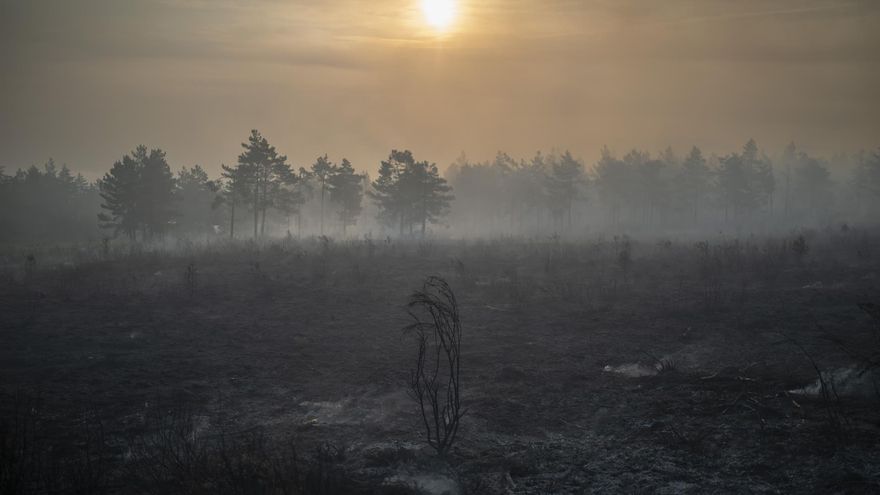 Los incendios del verano en Galicia: 44.000 hectáreas quemadas y los dos mayores fuegos desde que hay registros