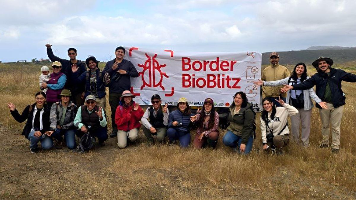 En el nodo del Border BioBlitz en Rancho Bonito, México, participaron Fauna del Noroeste y el Programa de Aves Urbanas, la investigadora Mariana Delgado, estudiantes de la Universidad Autónoma de Baja California y gente de comunidades aledañas. Foto: cortesía Border BioBlitz