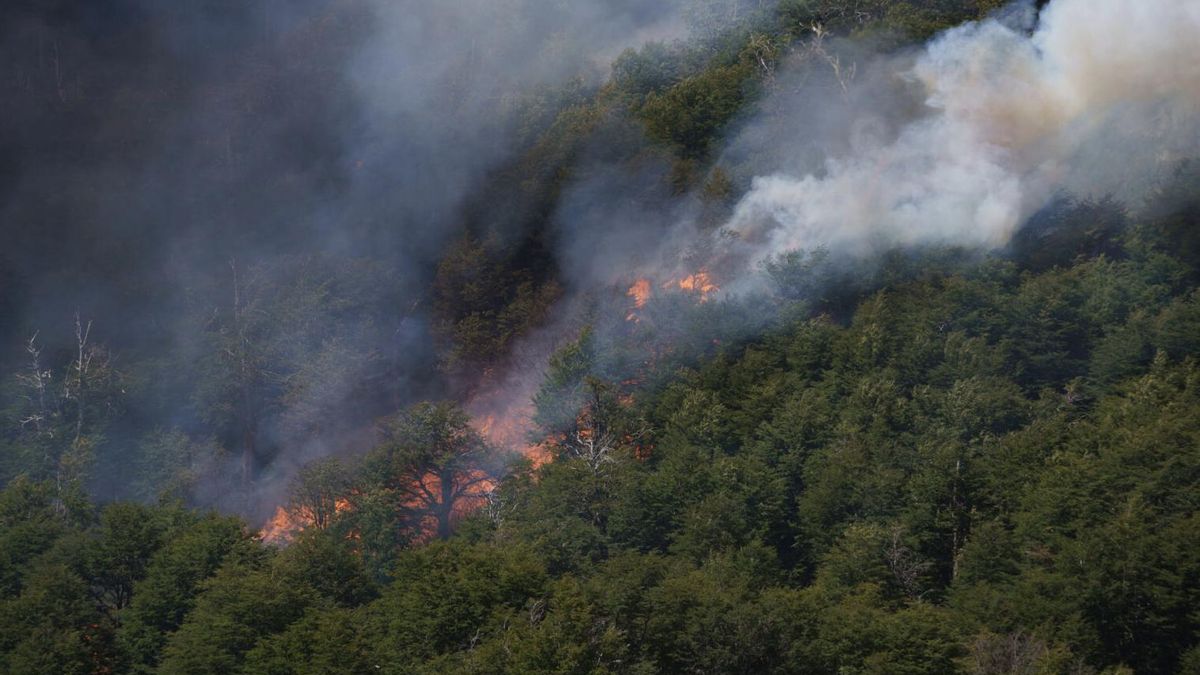 Incendio en el Parque Nacional Lanín, Neuquén, en la Patagonia argentina.