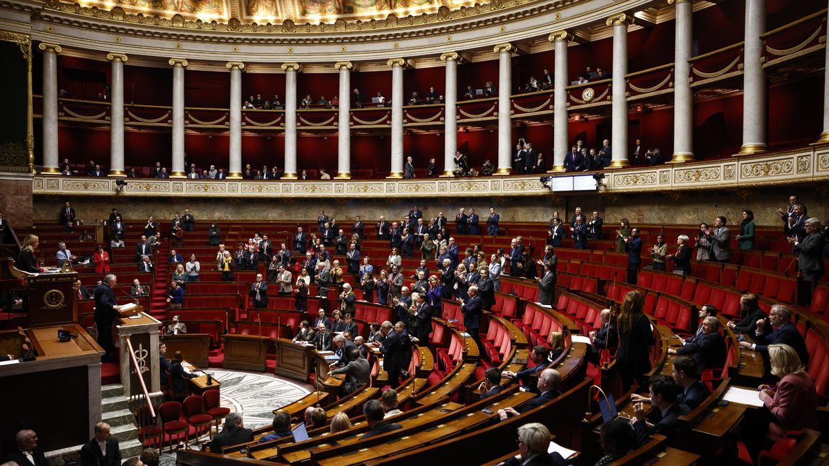 La Asamblea Nacional francesa aprueba la legalización de la eutanasia