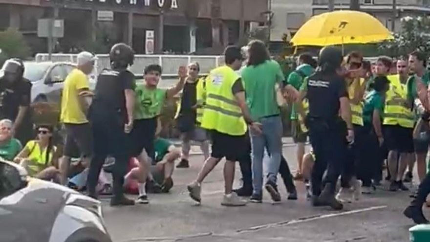 Expedientado el agente de la Policía Nacional que agredió por la espalda a una profesora en huelga en València