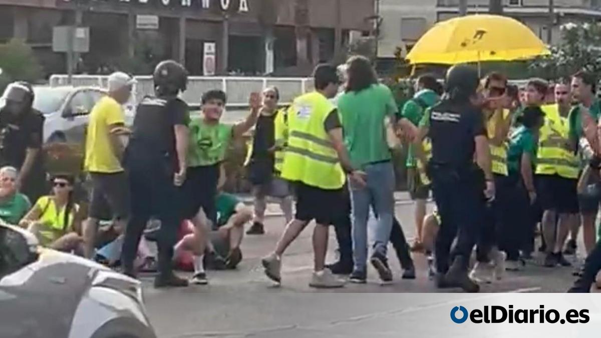 Expedientado el agente de la Policía Nacional que agredió por la espalda a  una profesora en huelga en València | video 2
