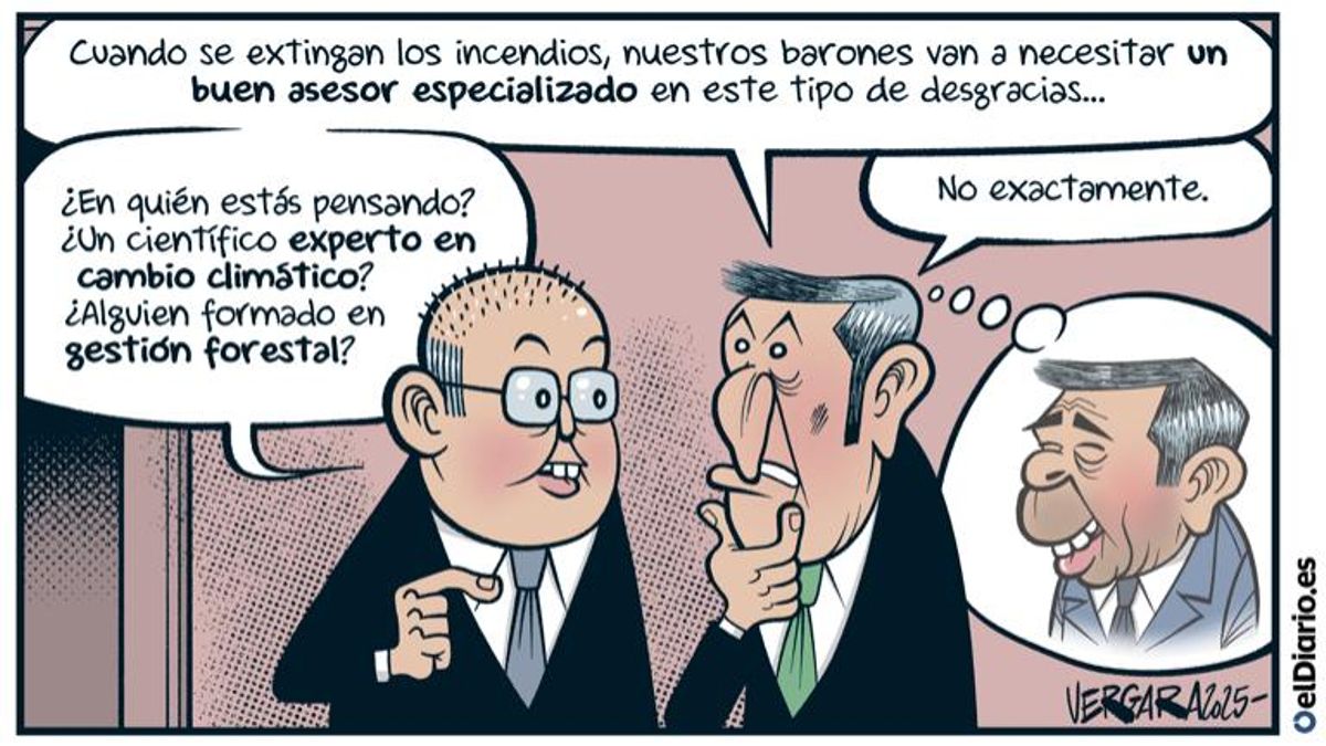 Asesoramiento especializado