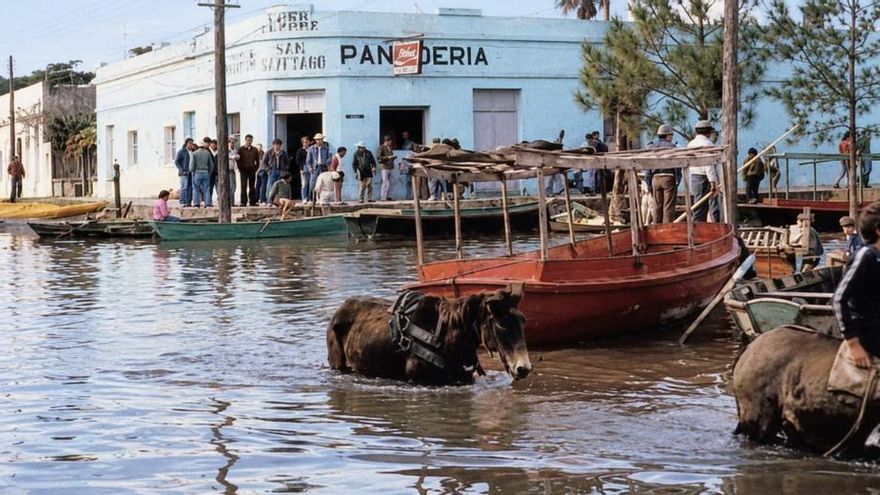 Súper Niño 2026: advierten que el río Paraná puede tener crecidas históricas y niveles superiores a los de 1983