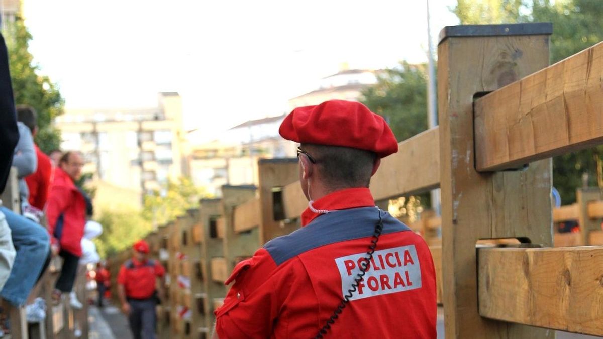 El Gobierno ha invertido en Policía Foral "de manera decidida pero selectiva" y niega "una política de desmantelamiento"