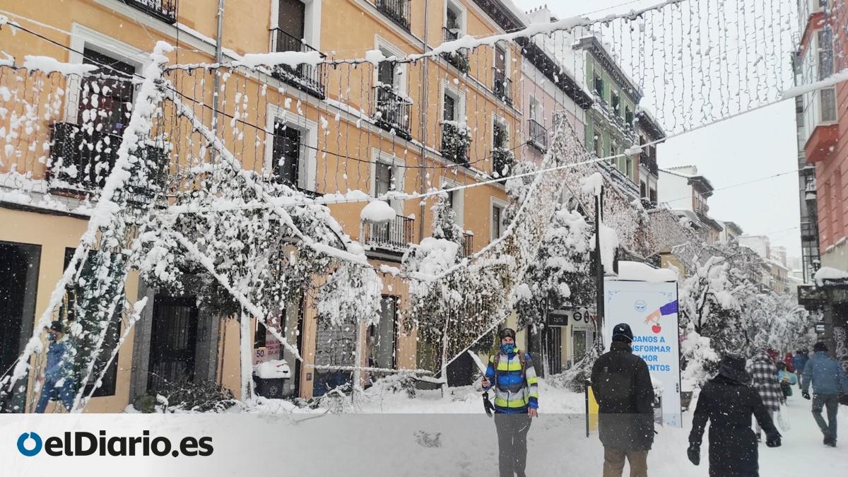 Los Bomberos Forestales denuncian que la Comunidad de Madrid no los ...